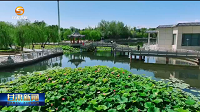甘肃：避暑游带火夏日消费
